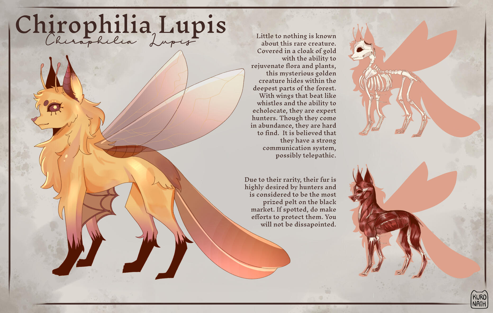 Bestiary Collection : Chirophilia Lupis